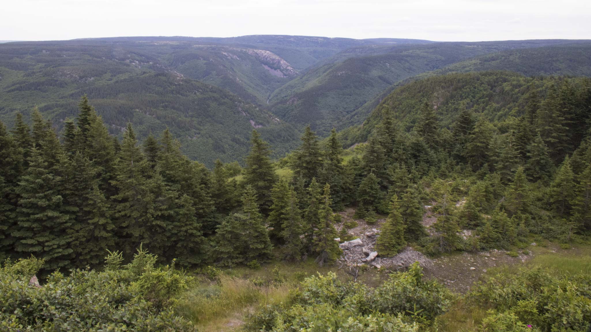 0711 Cabot Trail 3 (1 of 1)